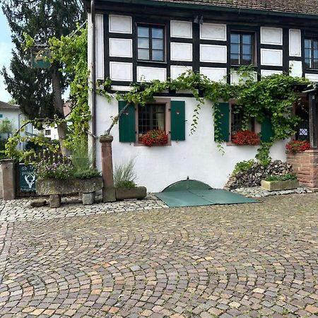 Exklusive Maisonette-Wohnung Am Rande Von Freiburg Merzhausen ภายนอก รูปภาพ